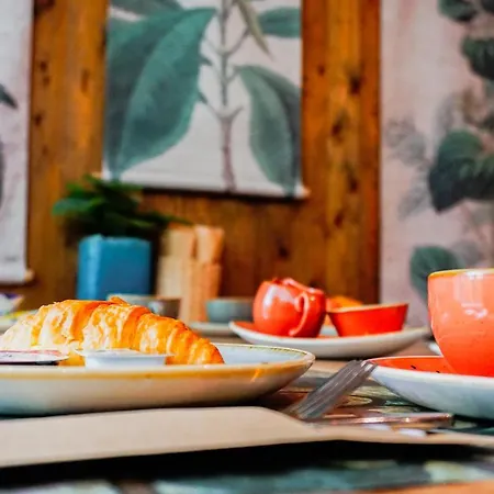 Отель Forest 3*