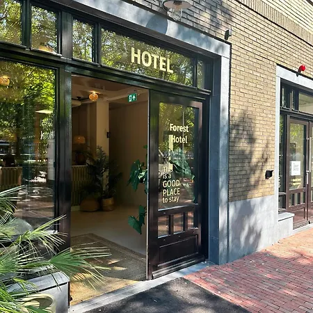 Forest Hotel 3*