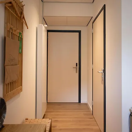 Hotel Forest 3*