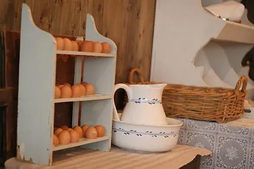 Отель Forest 3*